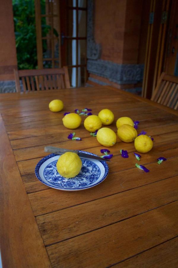Hanoman - 3 Bedrooms With Private Pool * Candi Dasa (Bali)